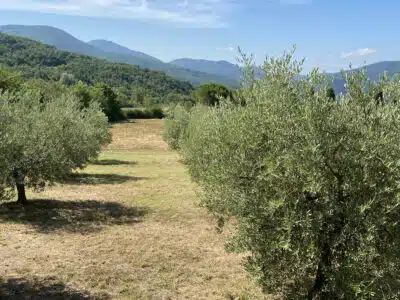 6814f977572d32.01654740 IMG 8443 400x300.jpeg