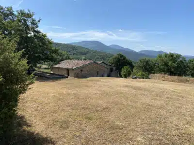 6814f981cb58f5.22113320 IMG 8444 400x300.jpeg