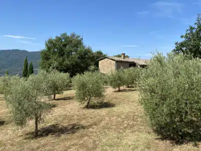 6814fa2ab1c001.12810468 IMG 8441 400x300.jpeg