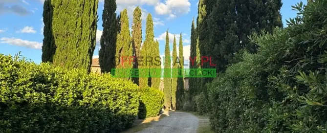 WhatsApp Image 2025 05 24 at 08.23.23