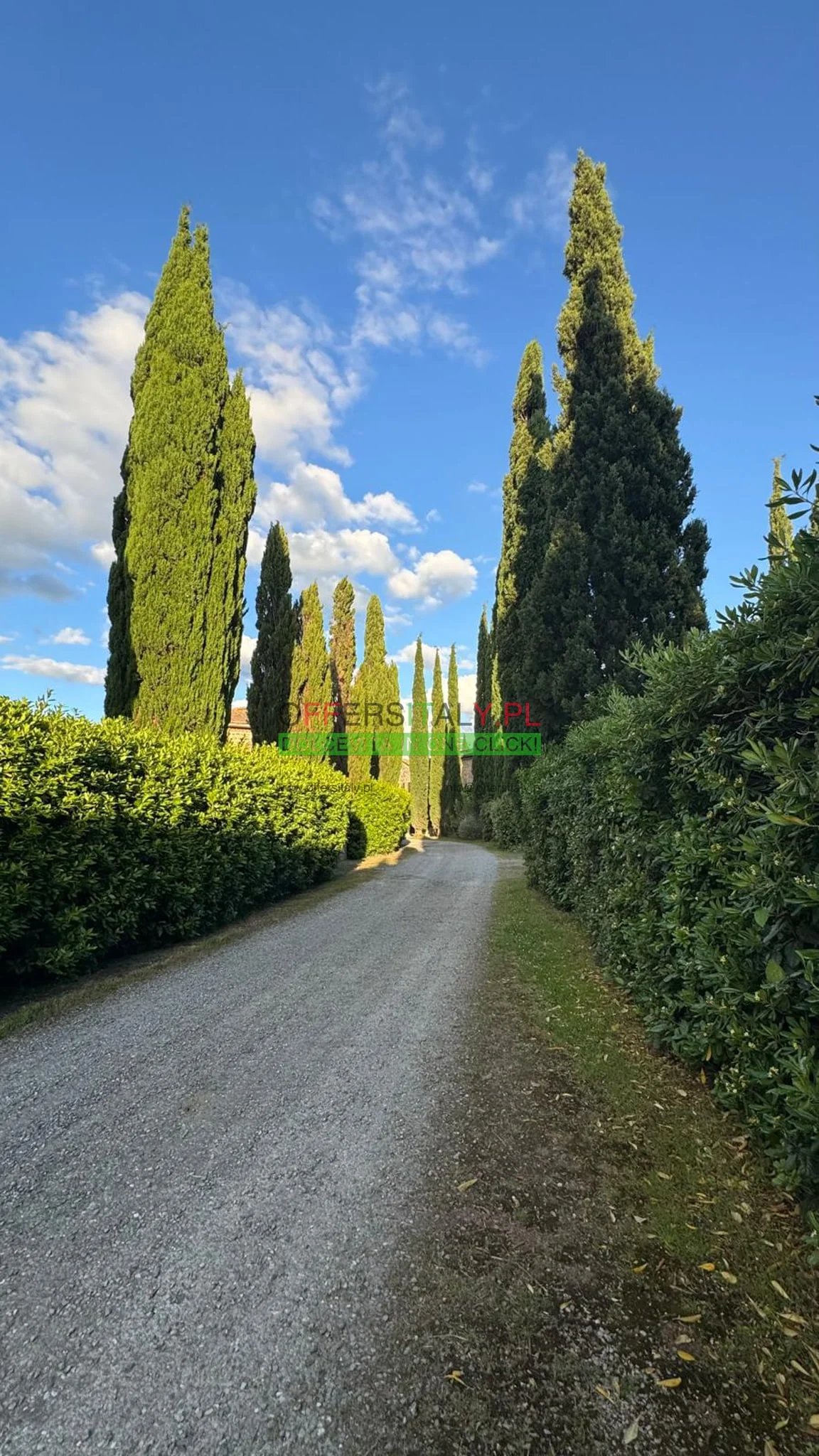 WhatsApp Image 2025 05 24 at 08.23.23