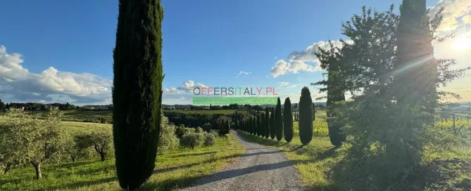 WhatsApp Image 2025 05 24 at 08.23.33 1