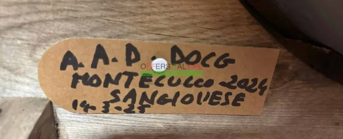 WhatsApp Image 2025 05 24 at 08.23.33 10