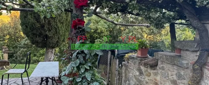 WhatsApp Image 2025 05 24 at 08.23.33 23