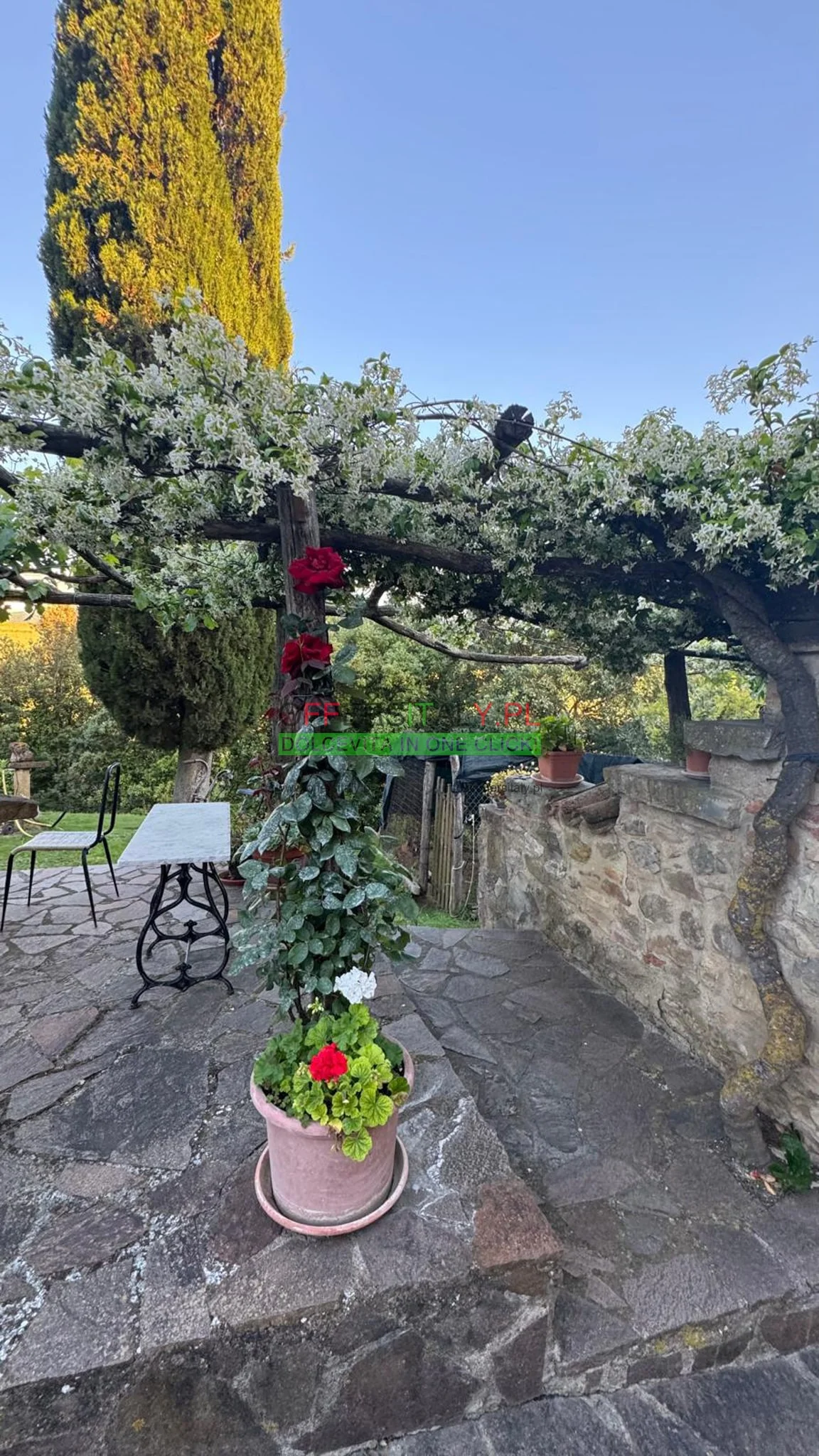 WhatsApp Image 2025 05 24 at 08.23.33 23