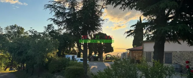 WhatsApp Image 2025 05 24 at 08.23.33 27