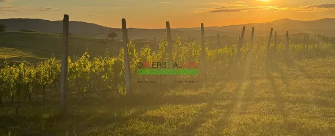 WhatsApp Image 2025 05 24 at 08.23.33 29