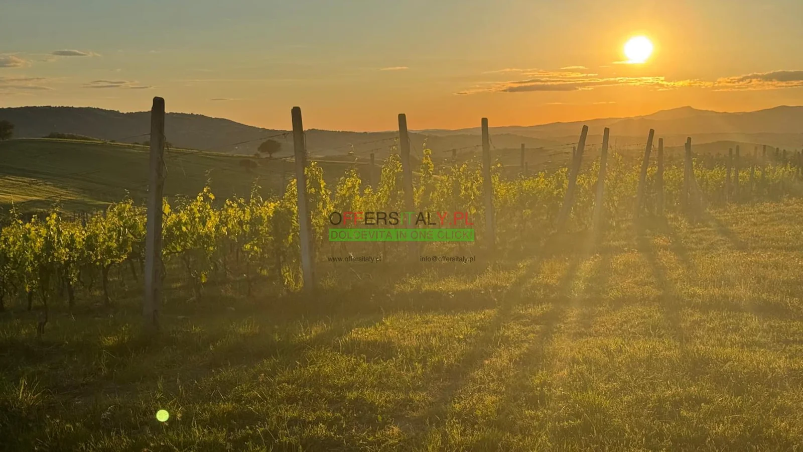 WhatsApp Image 2025 05 24 at 08.23.33 29