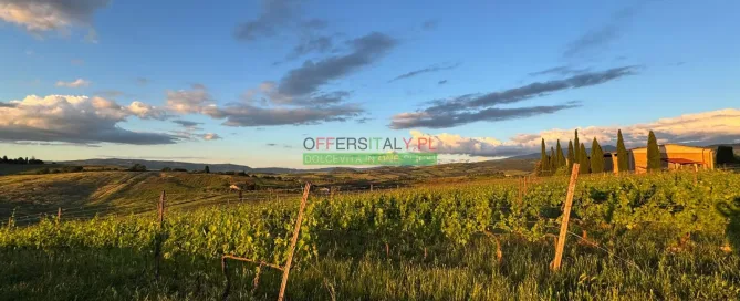 WhatsApp Image 2025 05 24 at 08.23.33 33