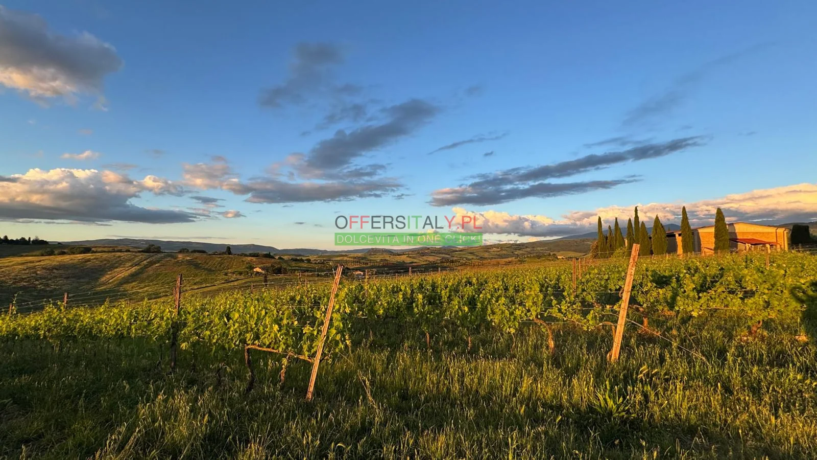 WhatsApp Image 2025 05 24 at 08.23.33 33