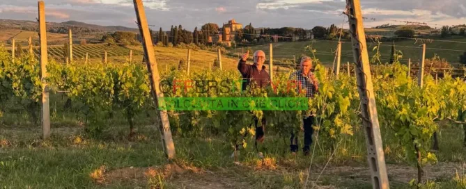 WhatsApp Image 2025 05 24 at 08.23.33 34