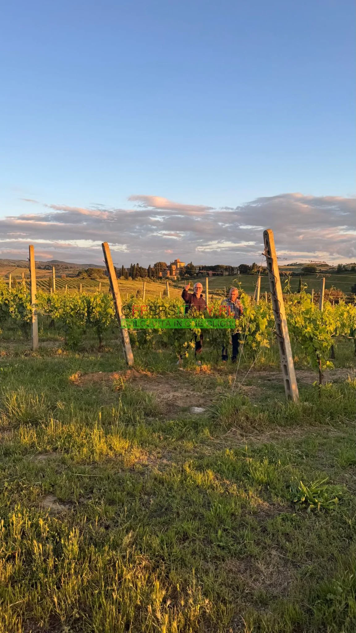 WhatsApp Image 2025 05 24 at 08.23.33 34