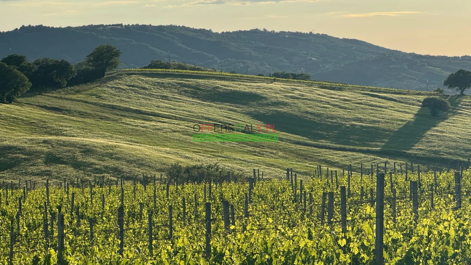 WhatsApp Image 2025 05 24 at 08.23.33 4