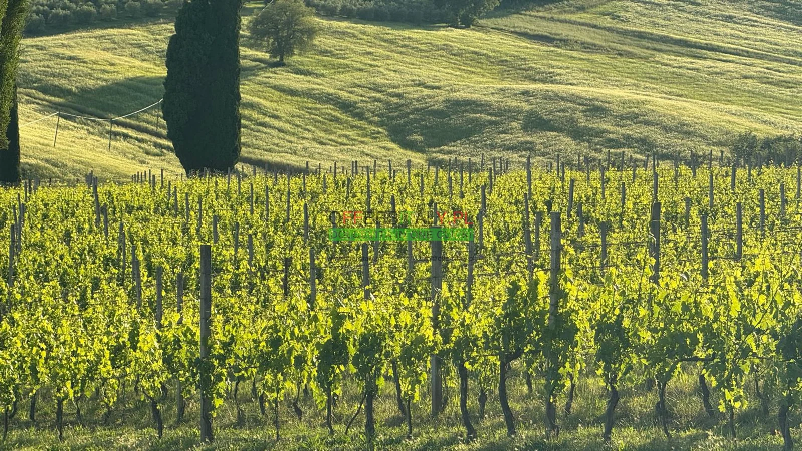 WhatsApp Image 2025 05 24 at 08.23.33 5