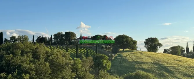 WhatsApp Image 2025 05 24 at 08.23.33 7