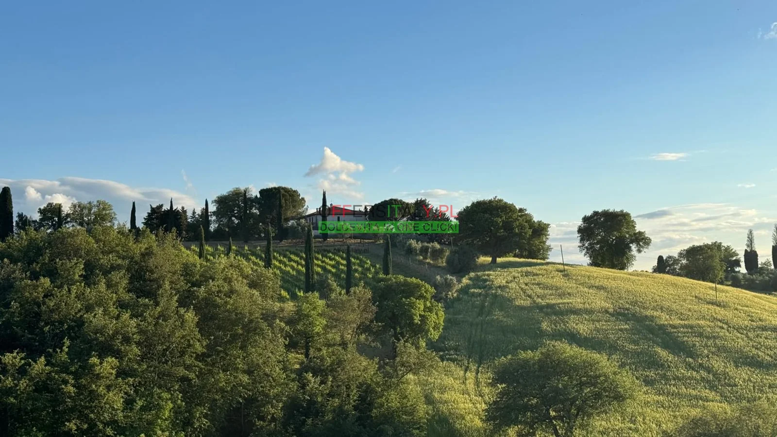 WhatsApp Image 2025 05 24 at 08.23.33 7