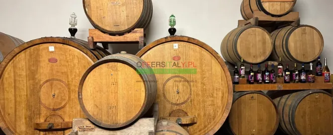 WhatsApp Image 2025 05 24 at 08.23.33 8