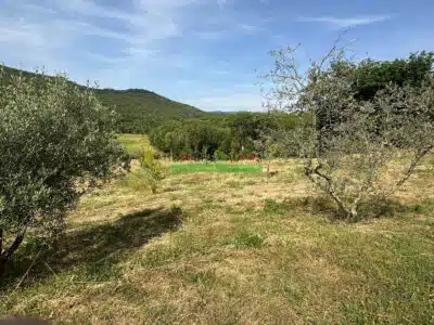 WhatsApp Image 2025 06 15 at 13.06.51 1 400x300.jpg