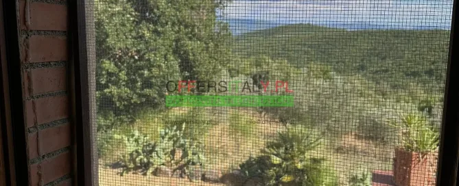 WhatsApp Image 2025 07 13 at 12.49.00