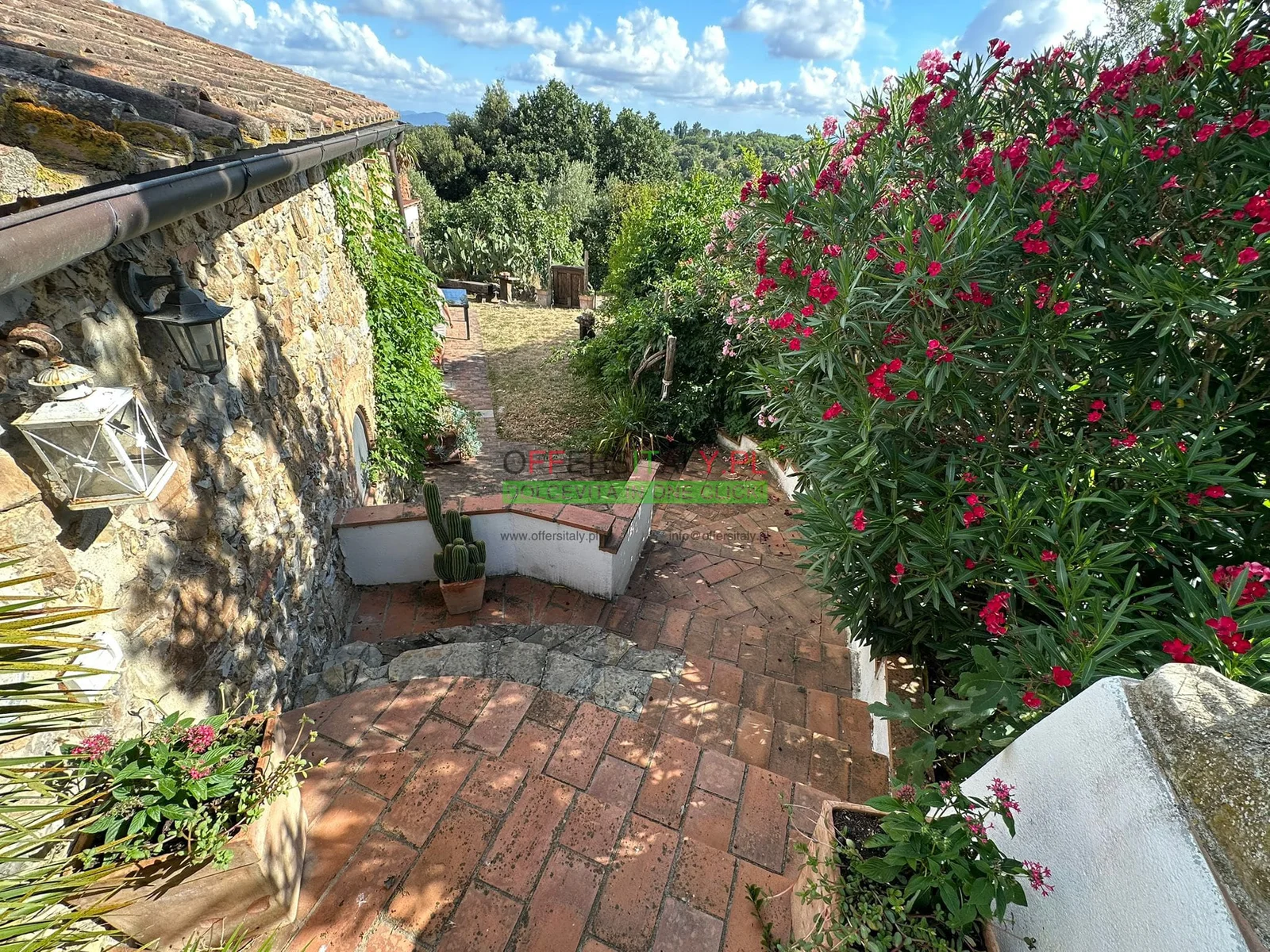 WhatsApp Image 2025 07 13 at 12.49.01 1