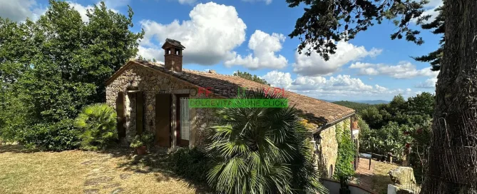 WhatsApp Image 2025 07 13 at 12.49.01