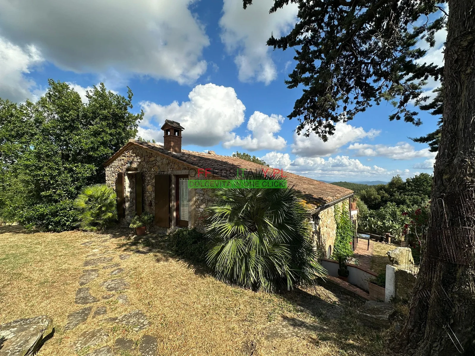 WhatsApp Image 2025 07 13 at 12.49.01