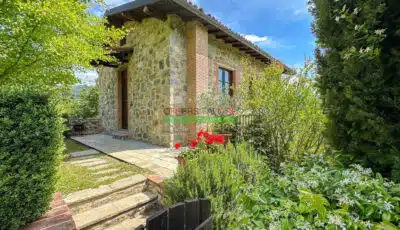 Zrzut ekranu 2025 02 12 o 11.33.04 400x230.jpg