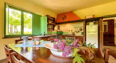 Zrzut ekranu 2025 02 12 o 11.35.35 400x220.jpg