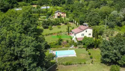 Zrzut ekranu 2025 02 12 o 11.36.33 400x228.jpg