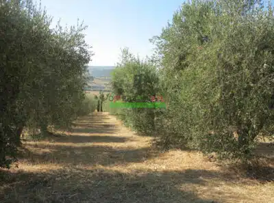 Zrzut ekranu 2025 02 13 o 18.28.05 400x297.jpg