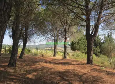 Zrzut ekranu 2025 02 13 o 18.28.44 400x291.jpg