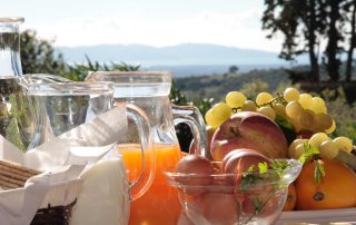 0350edde 4979 4089 af0c d0c402c9ff0f