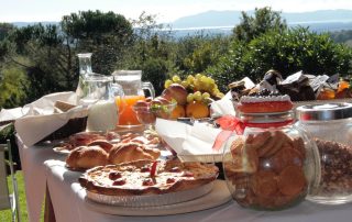 5b68dbb7 e0ce 4a2c b647 56f560f0f8e5