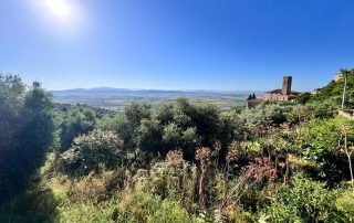 d004946b 3872 4966 a56f 08c92e69943e