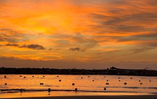 f1239a4c b31f 4534 83b1 05290354816c