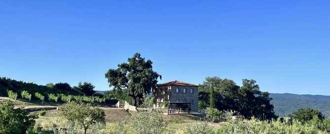 Villa in Tuscany 9